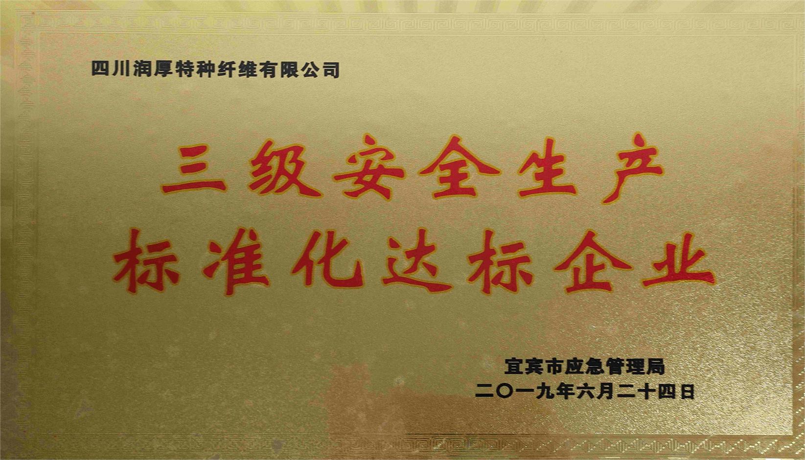 三級(jí)安全生產(chǎn)標(biāo)準(zhǔn)化達(dá)標(biāo)企業(yè)